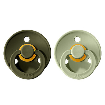 Lot de 2 Sucettes Sage & Hunter Green - 6/18 Mois
