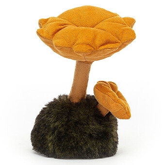 Wild Nature Chanterelle Mushroom