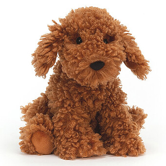 Cooper Doodle Dog