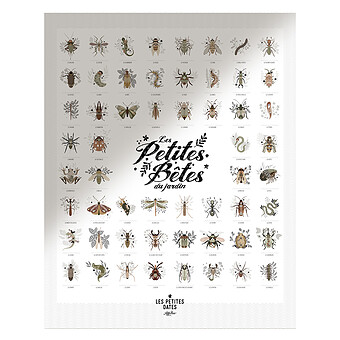 Affiche Les Petites Bêtes du Jardin - 50 x 40 cm