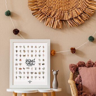 Affiche Les Petites Bêtes du Jardin - 50 x 40 cm