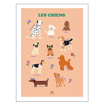 Affiche Les Chiens Ma petite vie