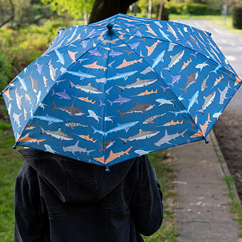 Parapluie - Requins