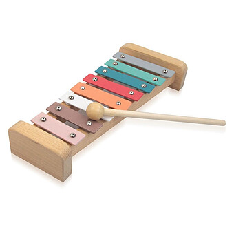 Apprends à Jouer du Xylophone Sassi Junior