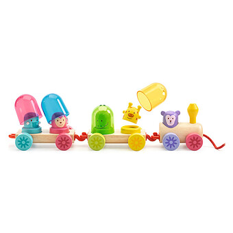 Rainbow Train Djeco