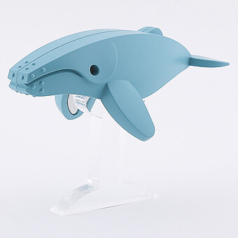Baleine à Bosse et Habitat Half Ocean