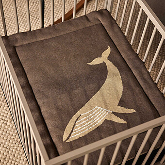 Fond de Parc Tricot - Baleine