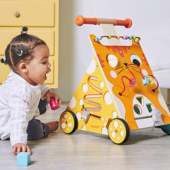 Chariot Multi-activités Chat