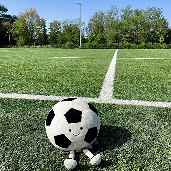 Amuseables Sports Football