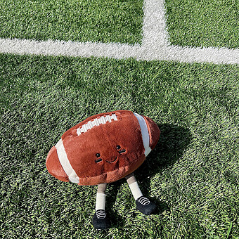 Amuseables Sports American Football