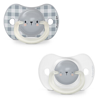Lot de 2 Sucettes Symétriques SX Pro Night & Day Ours - 0/6 Mois