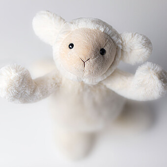 Bashful Lamb - Medium