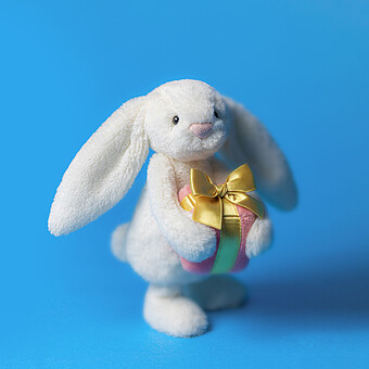 Bashful Bunny With Present - Little