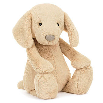 Bashful Luxe Puppy Orlando - Huge