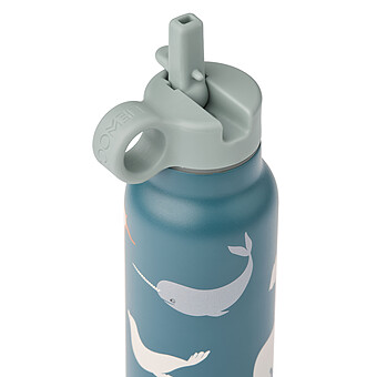 Gourde Falk Arctic Sea Ocean View - 350 ml 