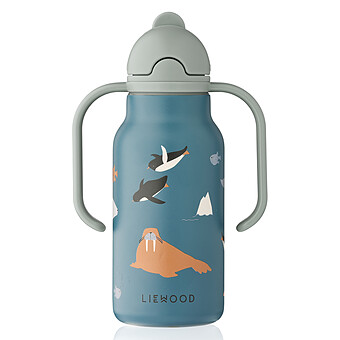 Gourde avec Poignées Kimmie Arctic Sea Ocean View - 250 ml