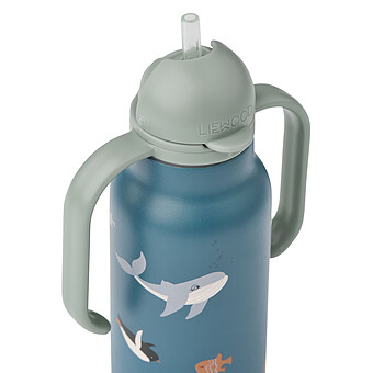 Gourde avec Poignées Kimmie Arctic Sea Ocean View - 250 ml
