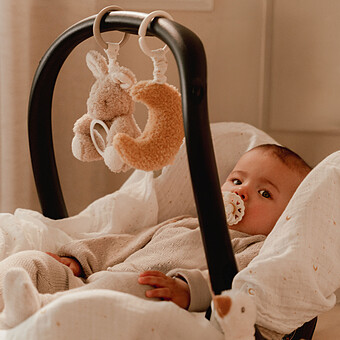 Lot de 3 Jouets pour Arche - Newborn