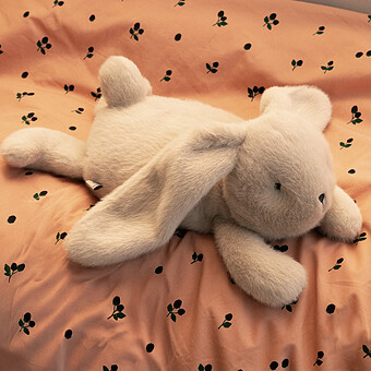 Peluche Lestée Lapin Paulin - Mist