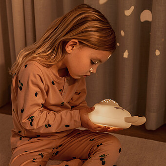 Lampe Projecteur Lapin Manuel - Sandy