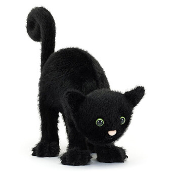 Spookipaws Cat 