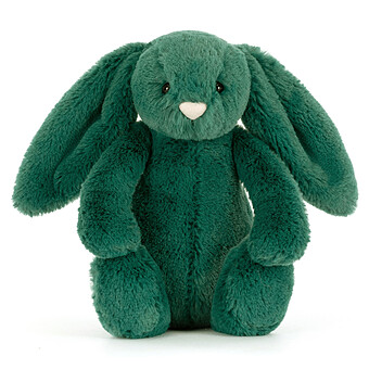 Bashful Teal Bunny