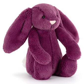 Bashful Allium Bunny