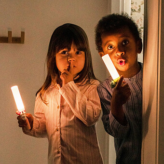 Lampe Torche Zoo Light - Dino