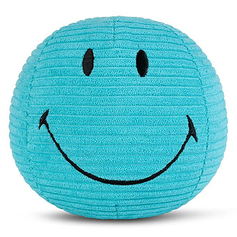 Smiley Velours Côtelé Turuoise - Petit