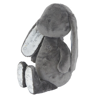 Augustin le Lapin - Rêve Etoilé