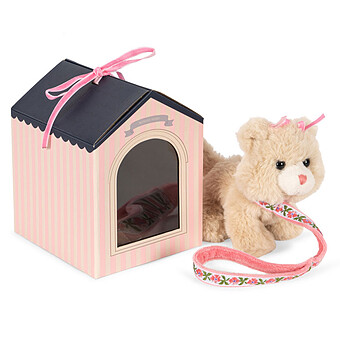Chaton et sa Maison
