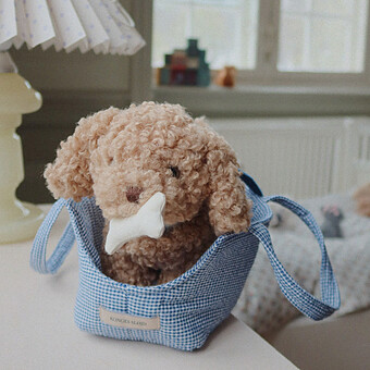 Chiot Lulu - Multi