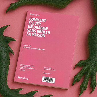 Carnet - Comment Elever un Dragon sans Brûler sa Maison ?