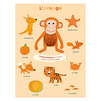 Mes Premières Couleurs à Toucher 