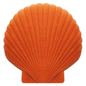 Boîte à Bijoux Coquillage Venus - Orange