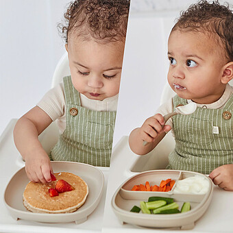 Assiette Compartimentée à Ventouse 2-en-1 - Sage