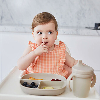Assiette Compartimentée à Ventouse et Couvercle - Latte