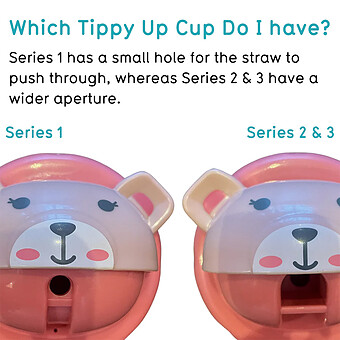 Lot de 2 Pailles Lestées et 1 Goupillon V3 - Gris