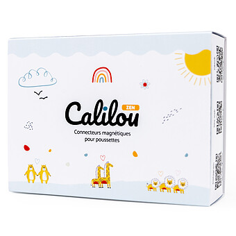 Kit de Connecteurs Magnétiques Universels