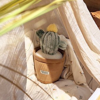 Peluche Fleur Cactus - 25 cm