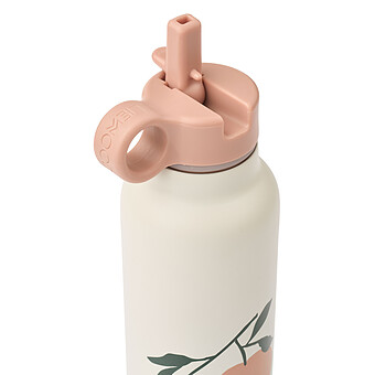 Gourde Falk Peach Me Sea Shell - 500 ml