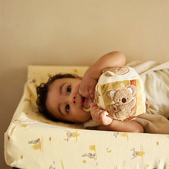 Cube d'Activités - Kangaroots