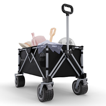 Chariot ROLLSTER - Noir