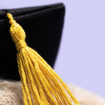 Bashful Bunny Graduation Outfit