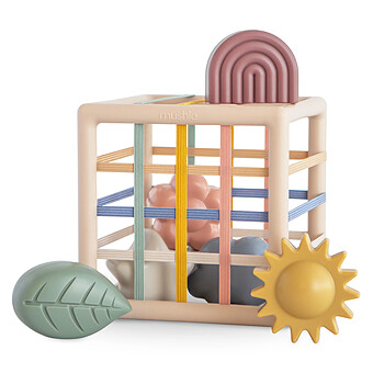 Boîte à Formes avec Elastiques