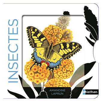 Insectes