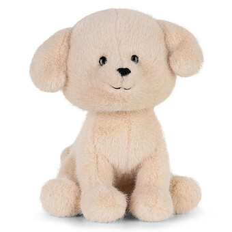 Loulou le Labrador