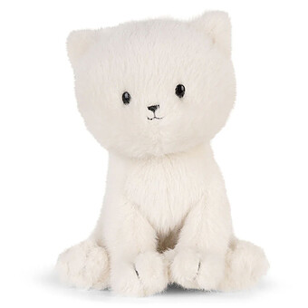 Dolly le Ragdoll
