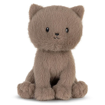 Freddy le British Shorthair avec Boîte Cadeau