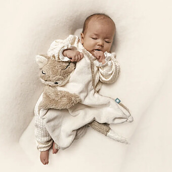 Doudou Lesté Bouillotte Sèche Renard